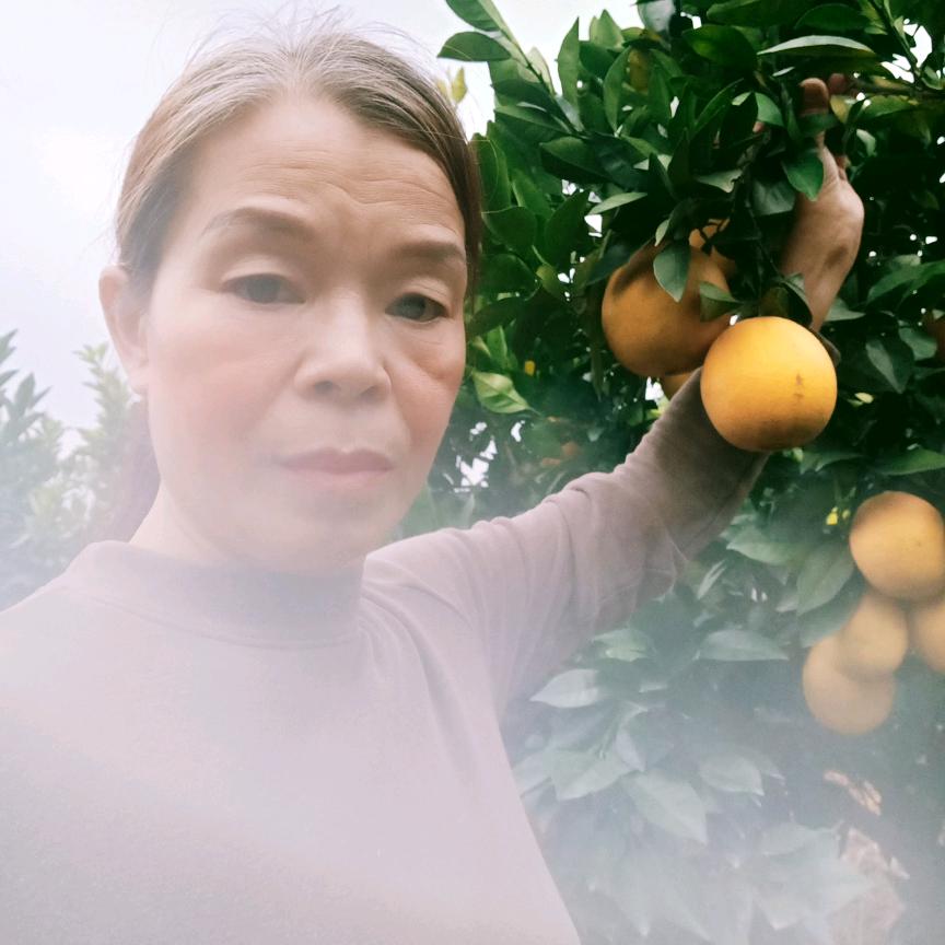 朵朵姐3 点开播