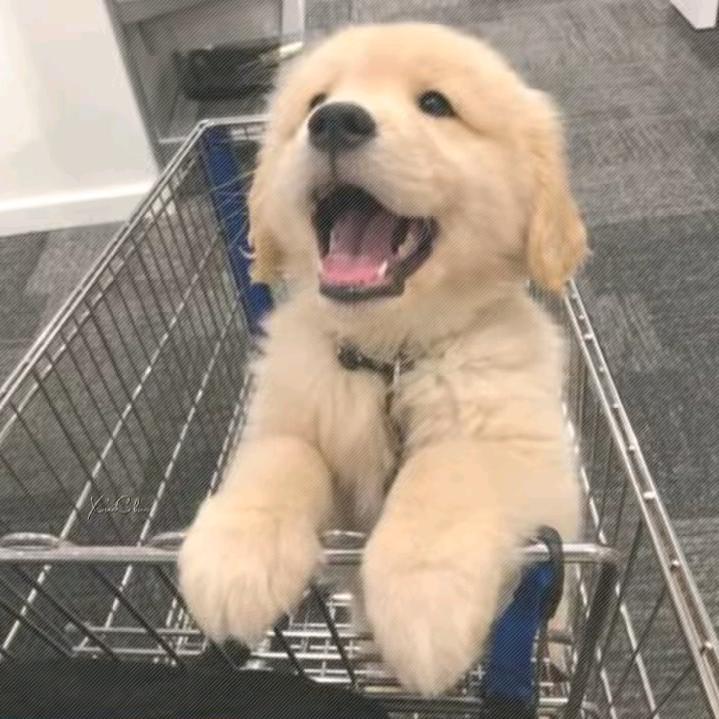 一起至永远永远