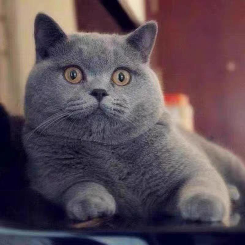 自建房(李工设计绘图)