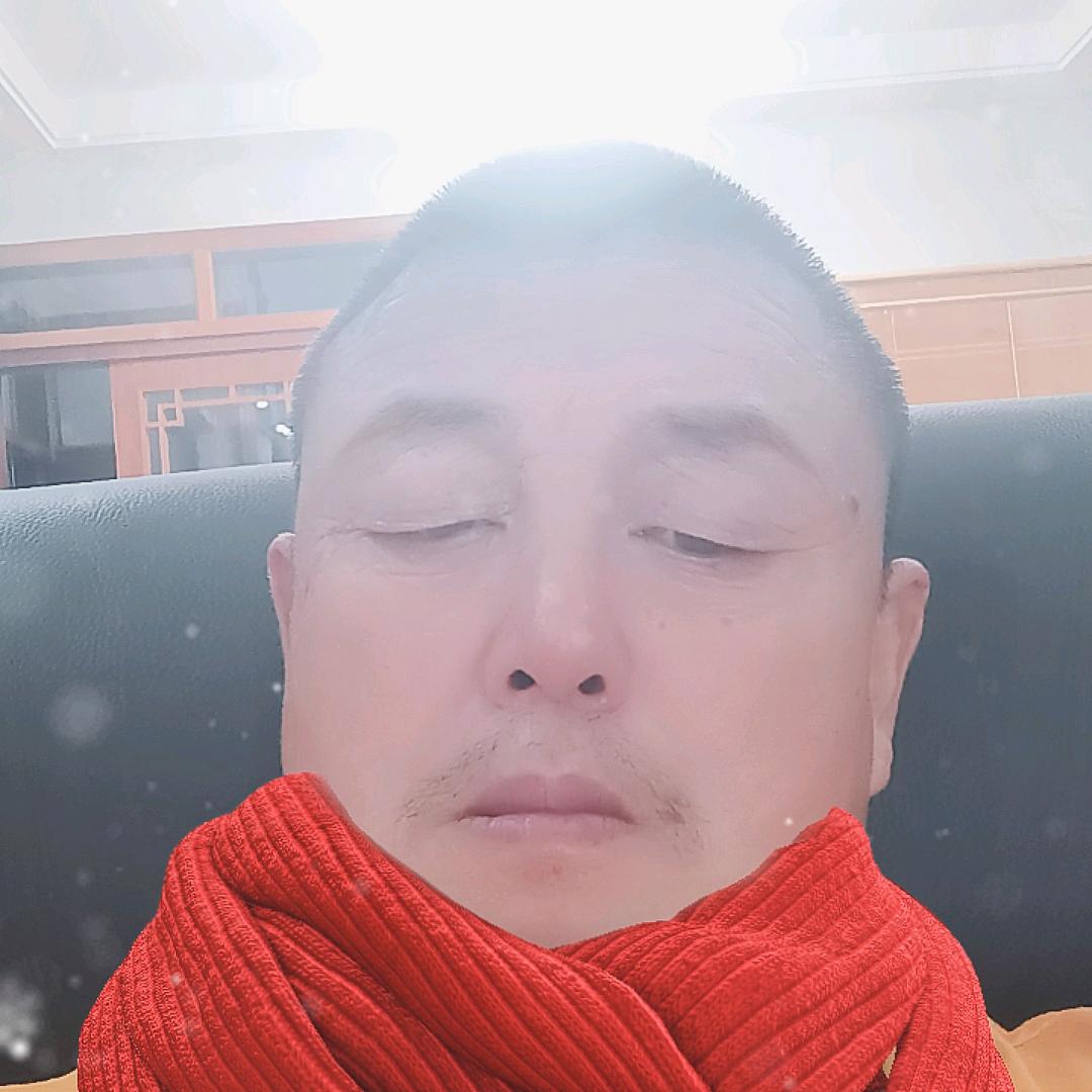 朱伟伟