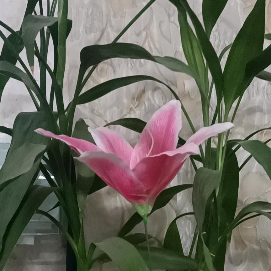 英姐专业修改《各种服饰》