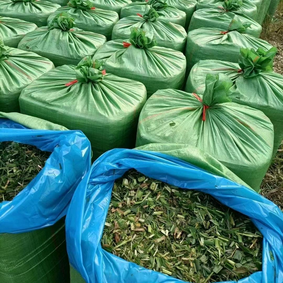 兴旺牧草