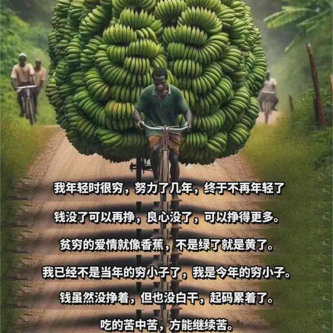 金城江奥德彪