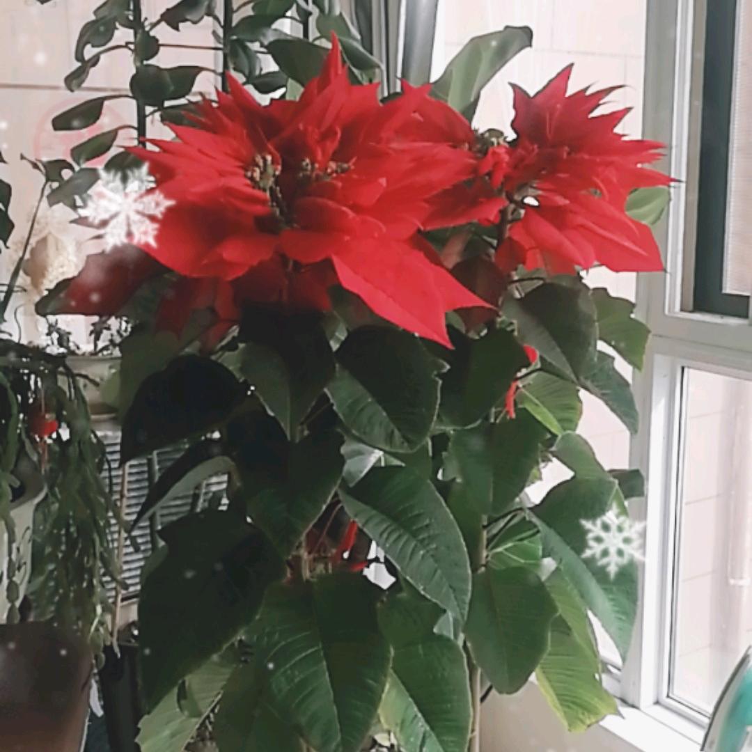 🐇🐇兔🐇🐇兔🐇🐇