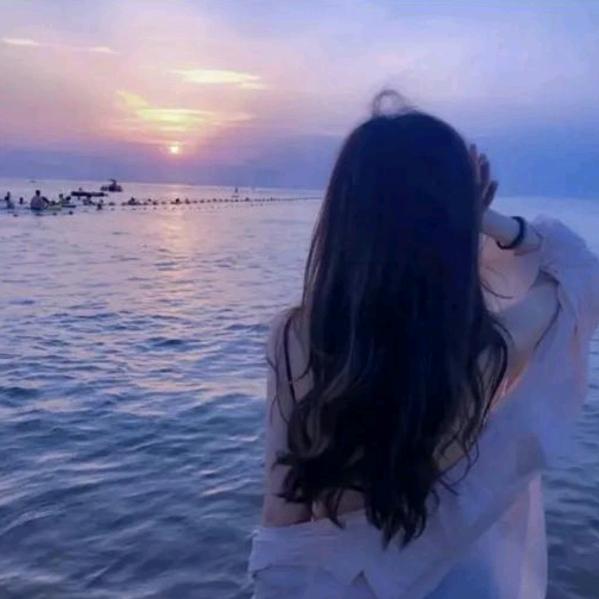 老杨的小仙女