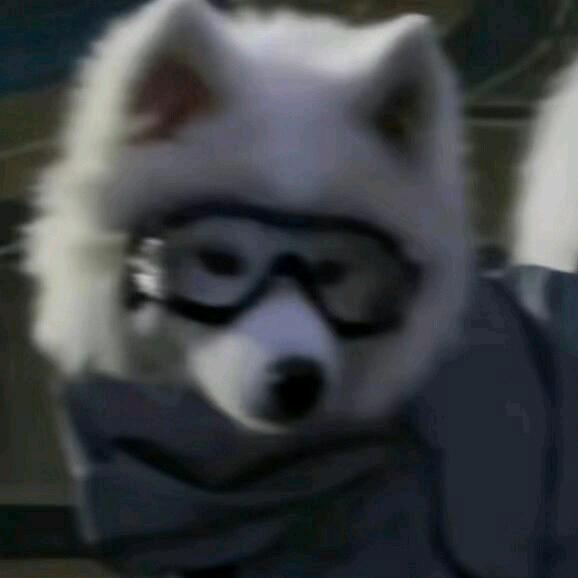 杰少你有点小帅