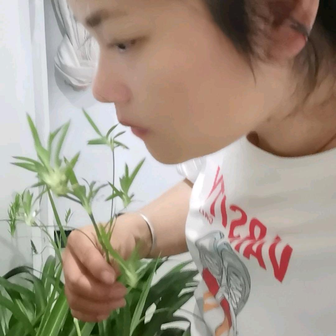 好人好梦