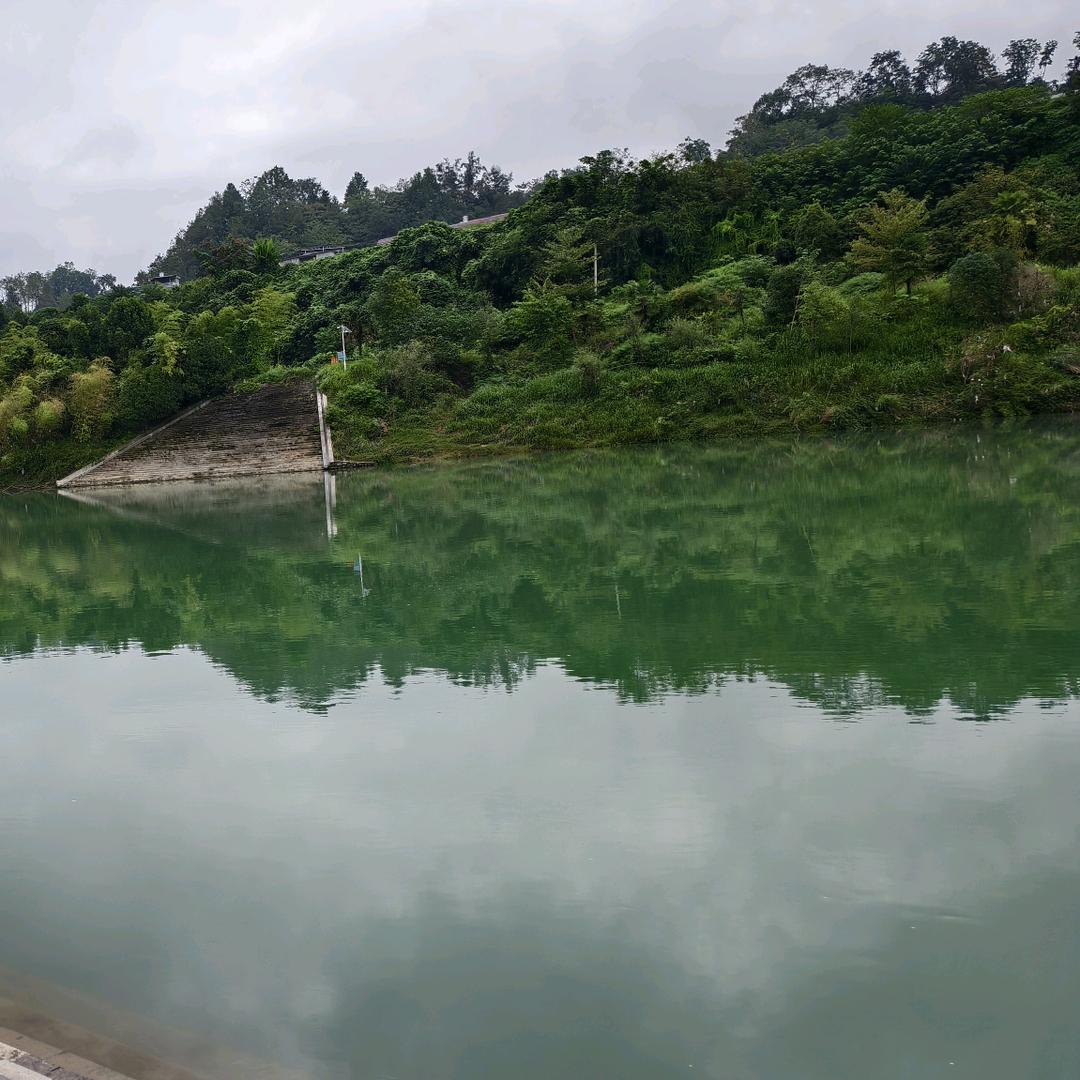 微笑的波浪