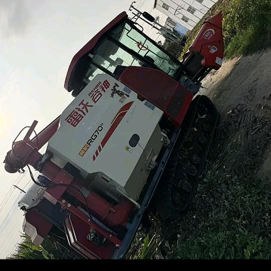 明哥