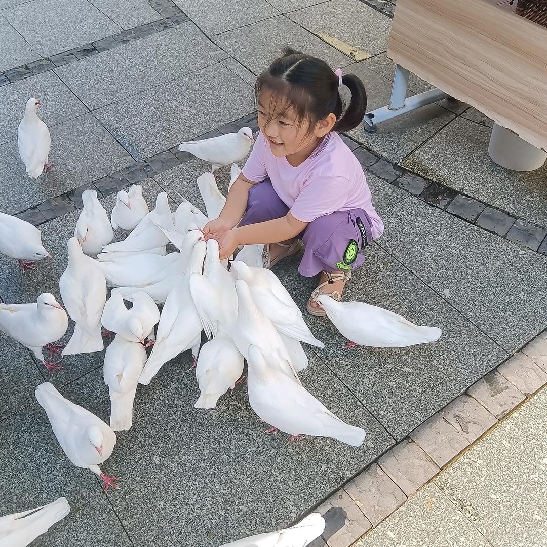 小潘潘