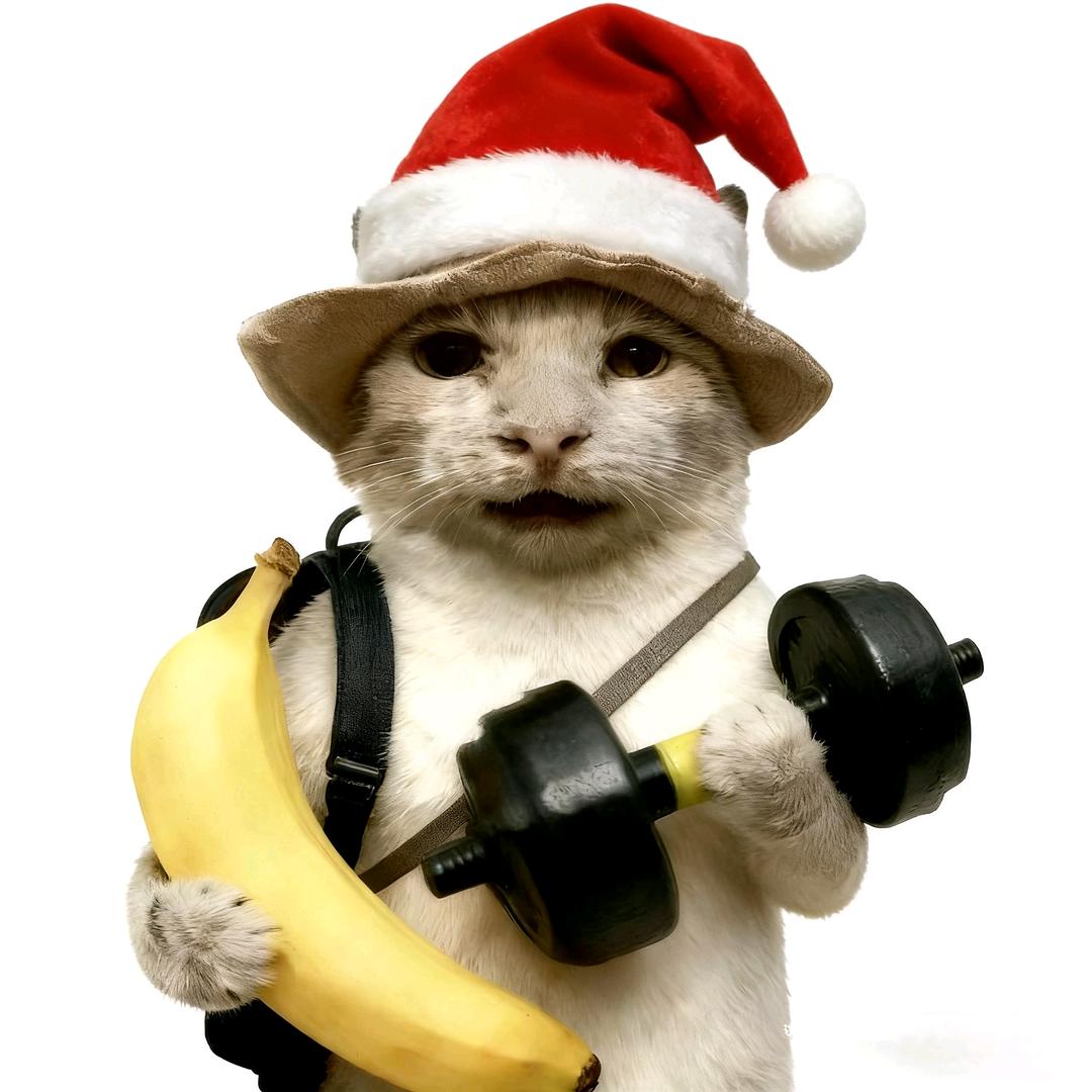 纯秦年糕(๑ت๑)