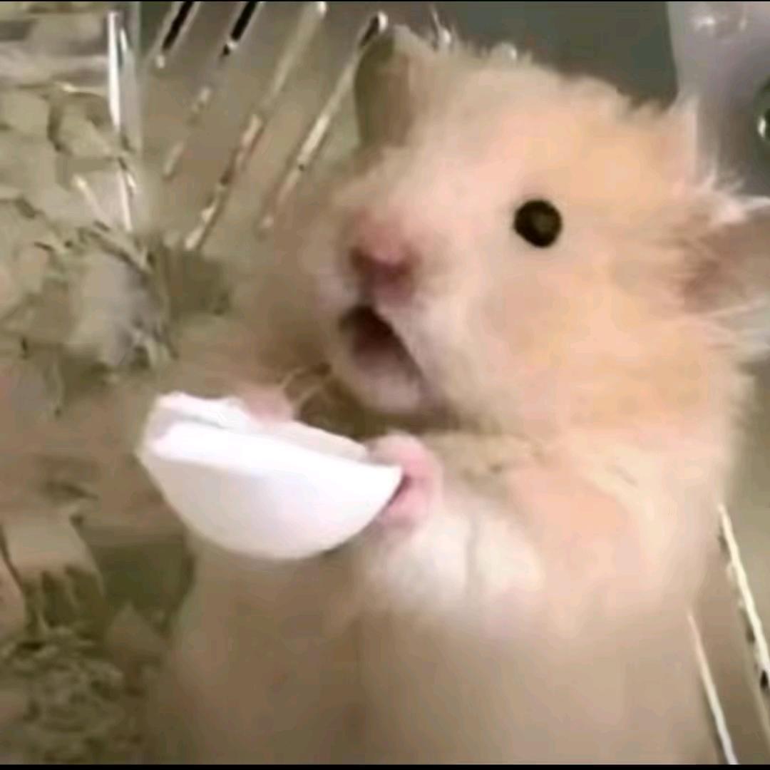 该我发财了