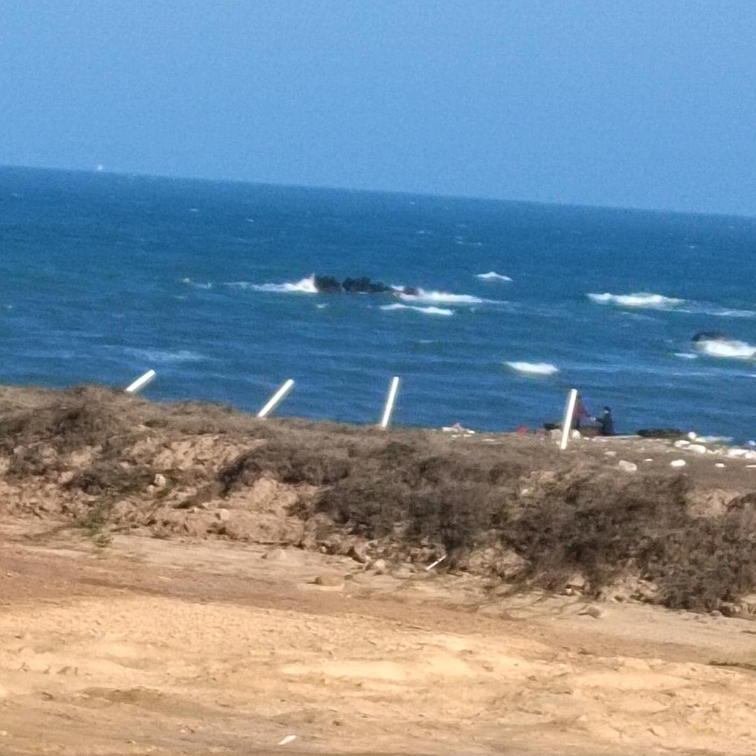 杨大东