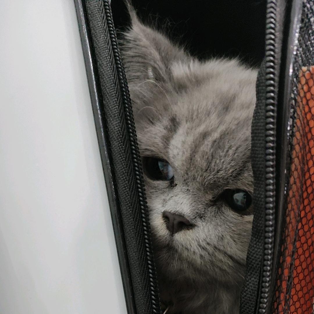 ℒℴѵℯ木ꦽꦿ℘᭄꫁子