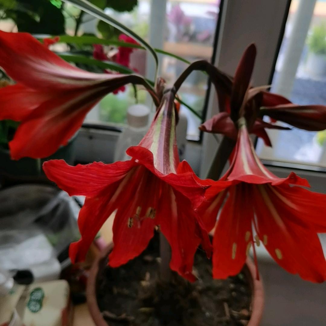 💑