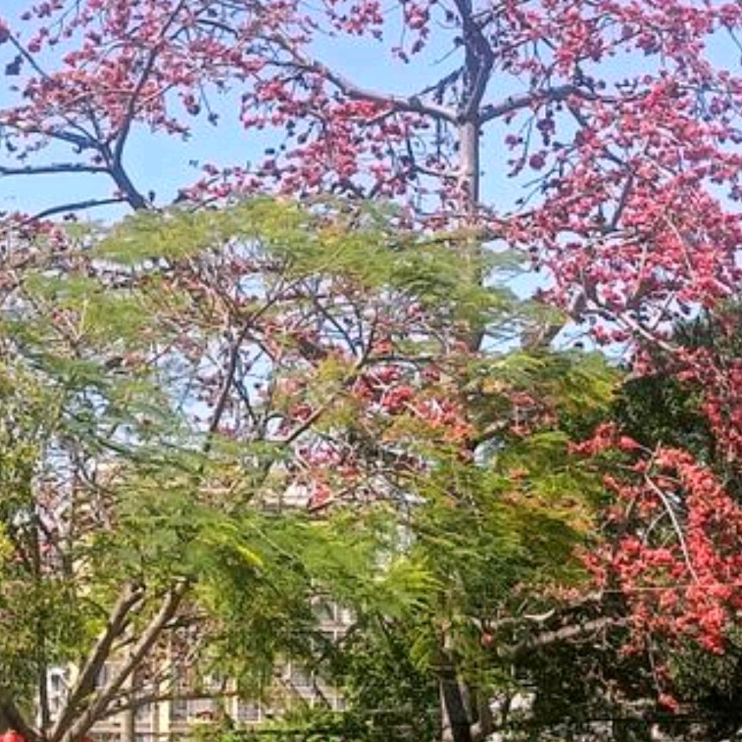 为:ஐ٩(你)۶ஐ停꒰⚈้̤͡ꇴ⚈刘