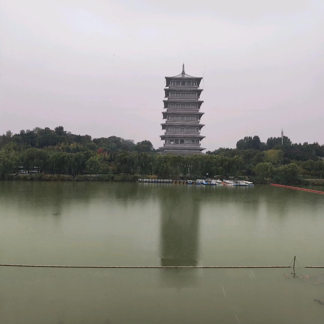 最爱豆果