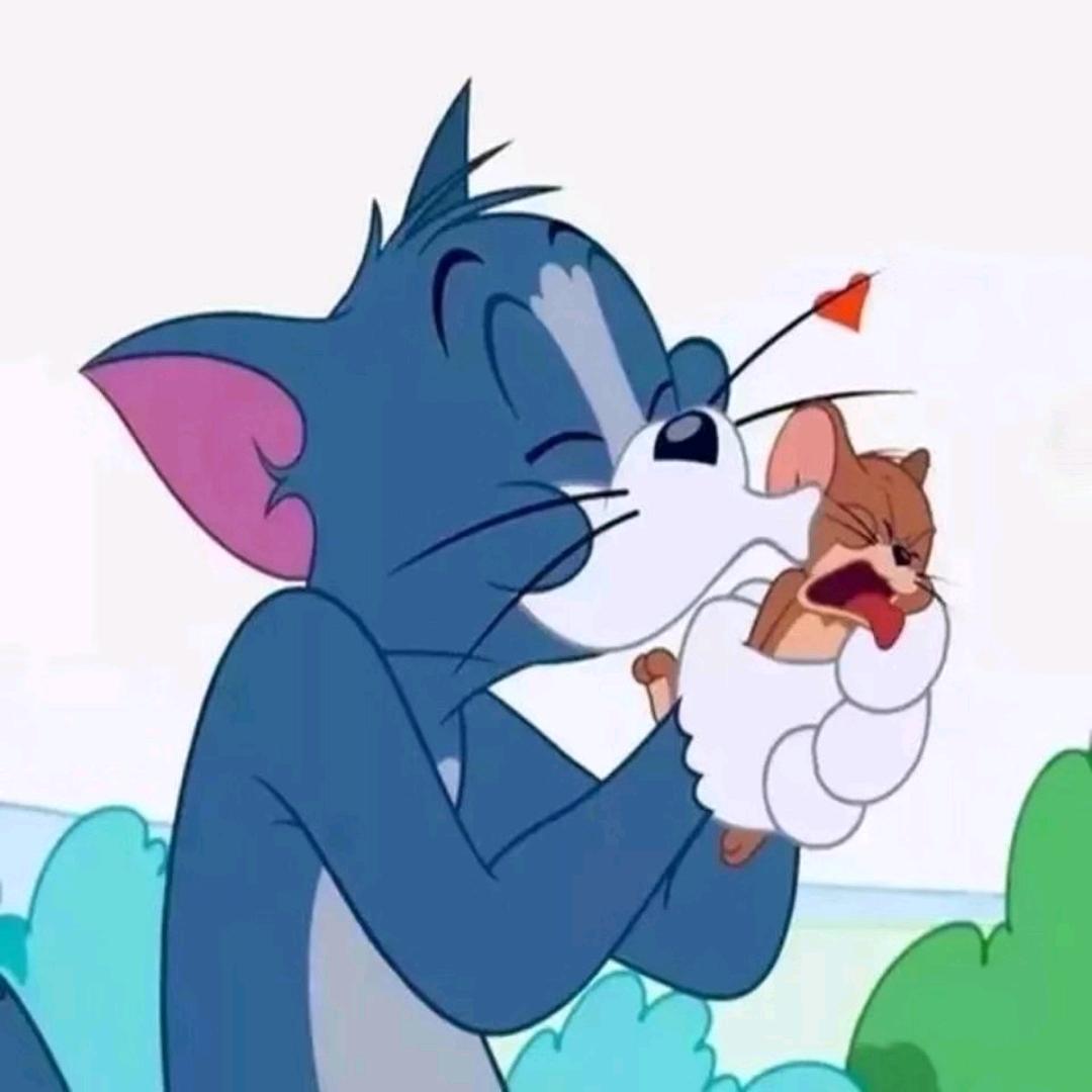 清哥