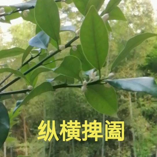 壹葦以航9¹²7🐉