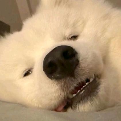 线号机嗯嗯哦哦