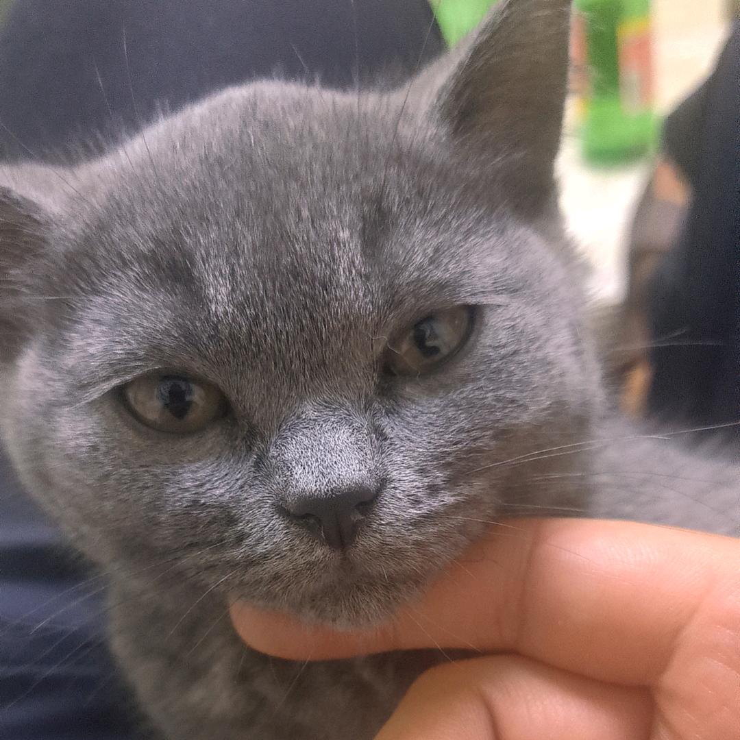 汐妍短剧