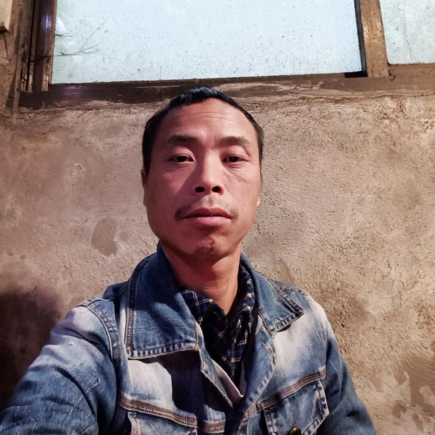 真情永在