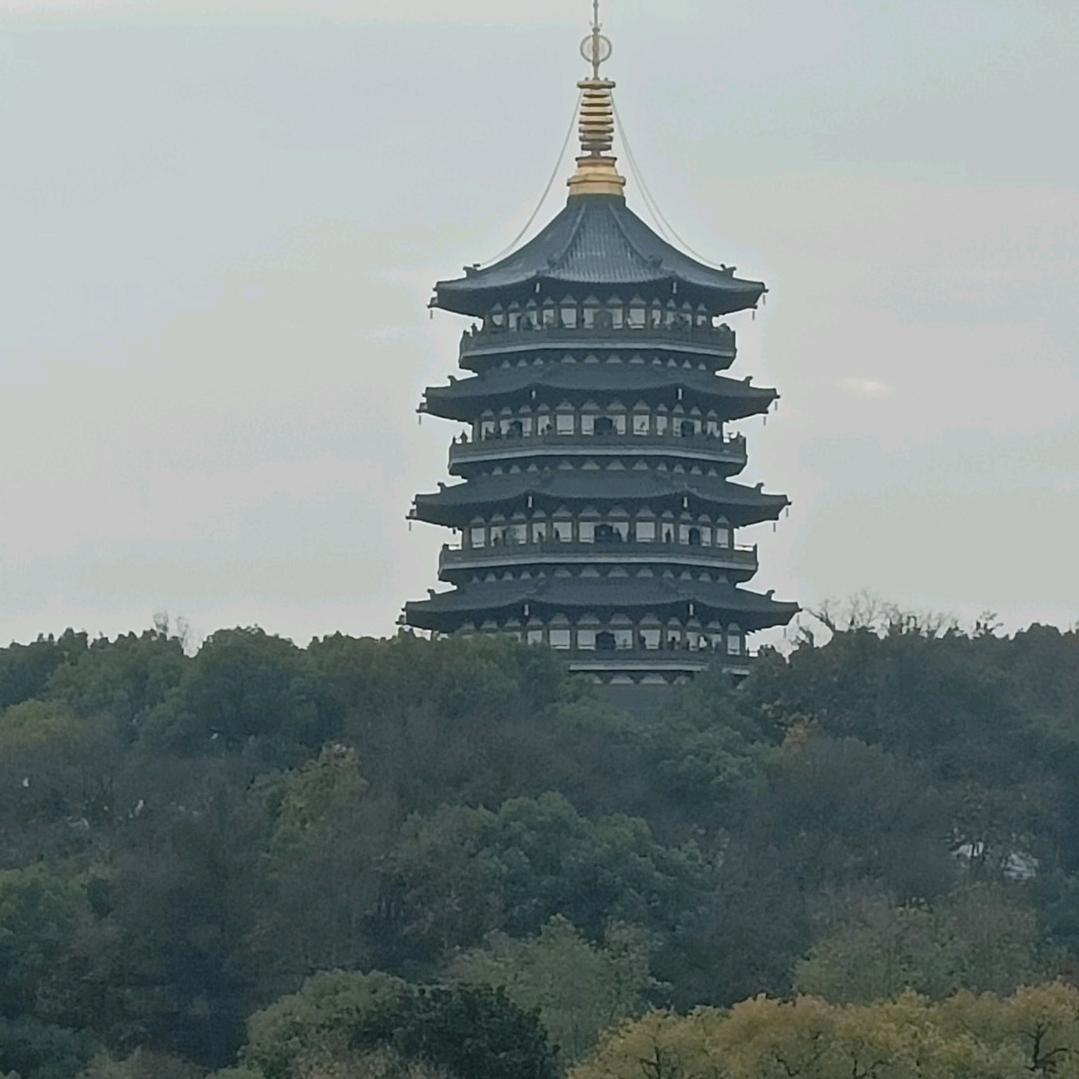 古月古月