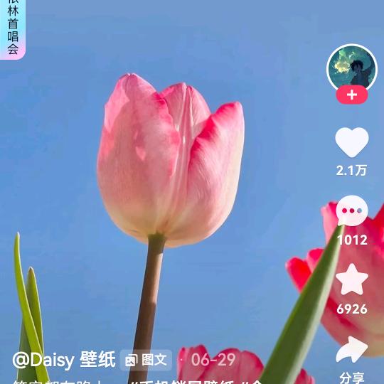 天下我独美