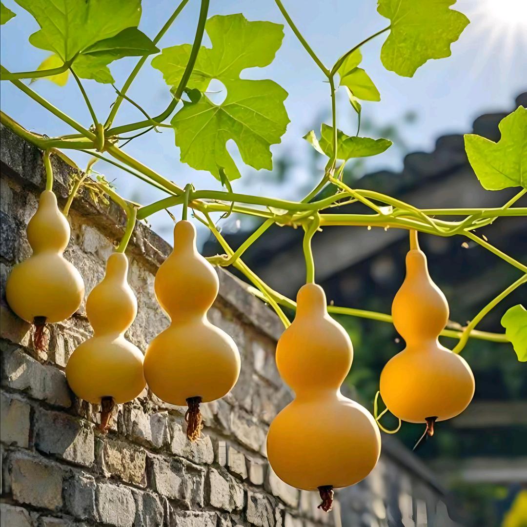 水库服务～裴老师