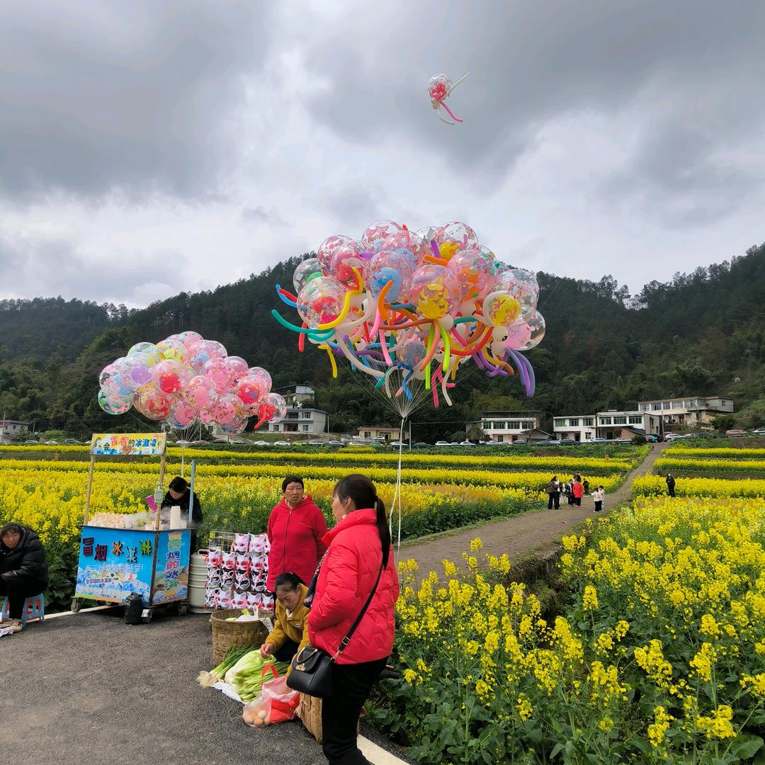 无缘的爱情
