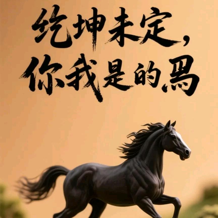 黑马哥