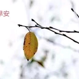 你好！我好！大家好！