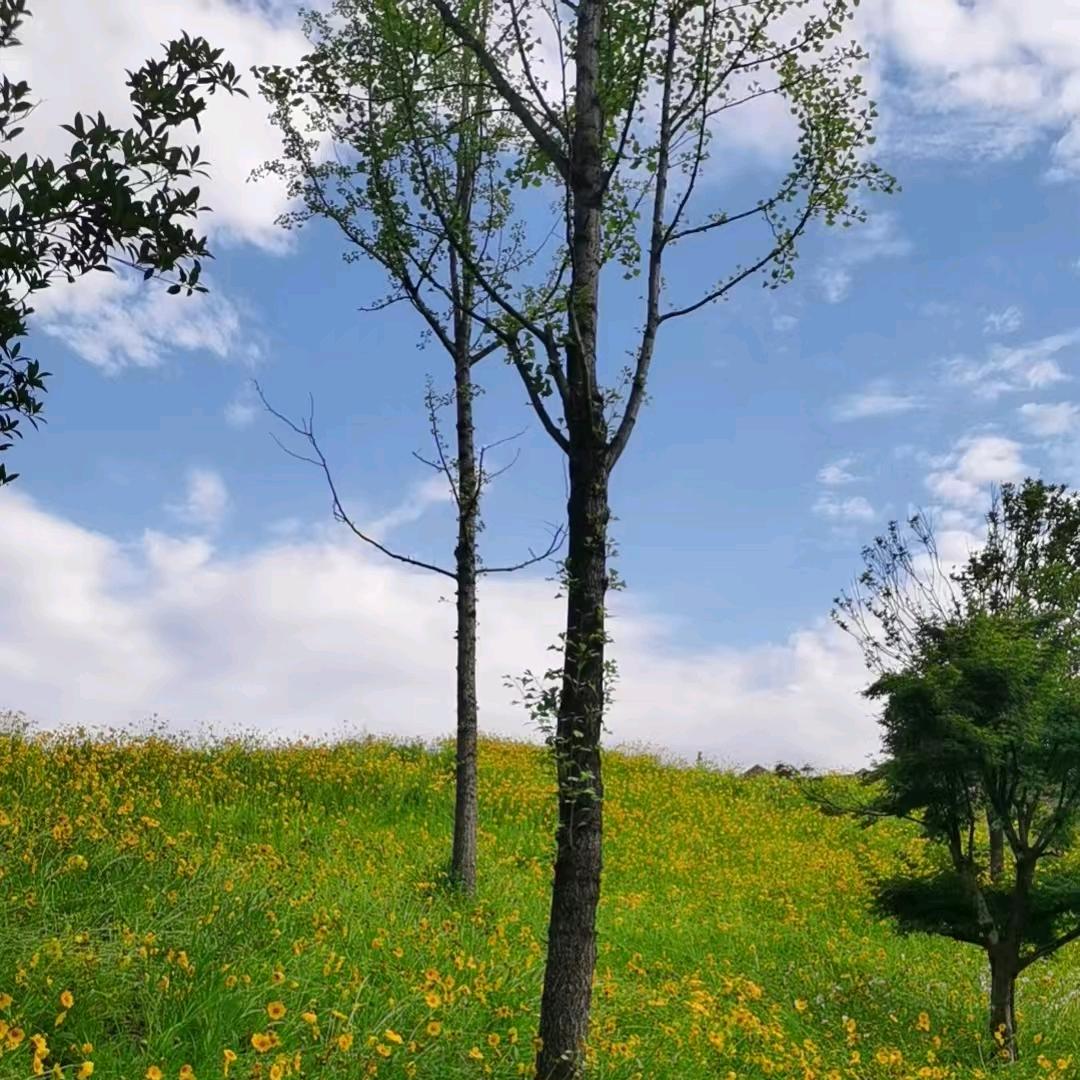 🌈任菇凉୧⍤⃝🐭