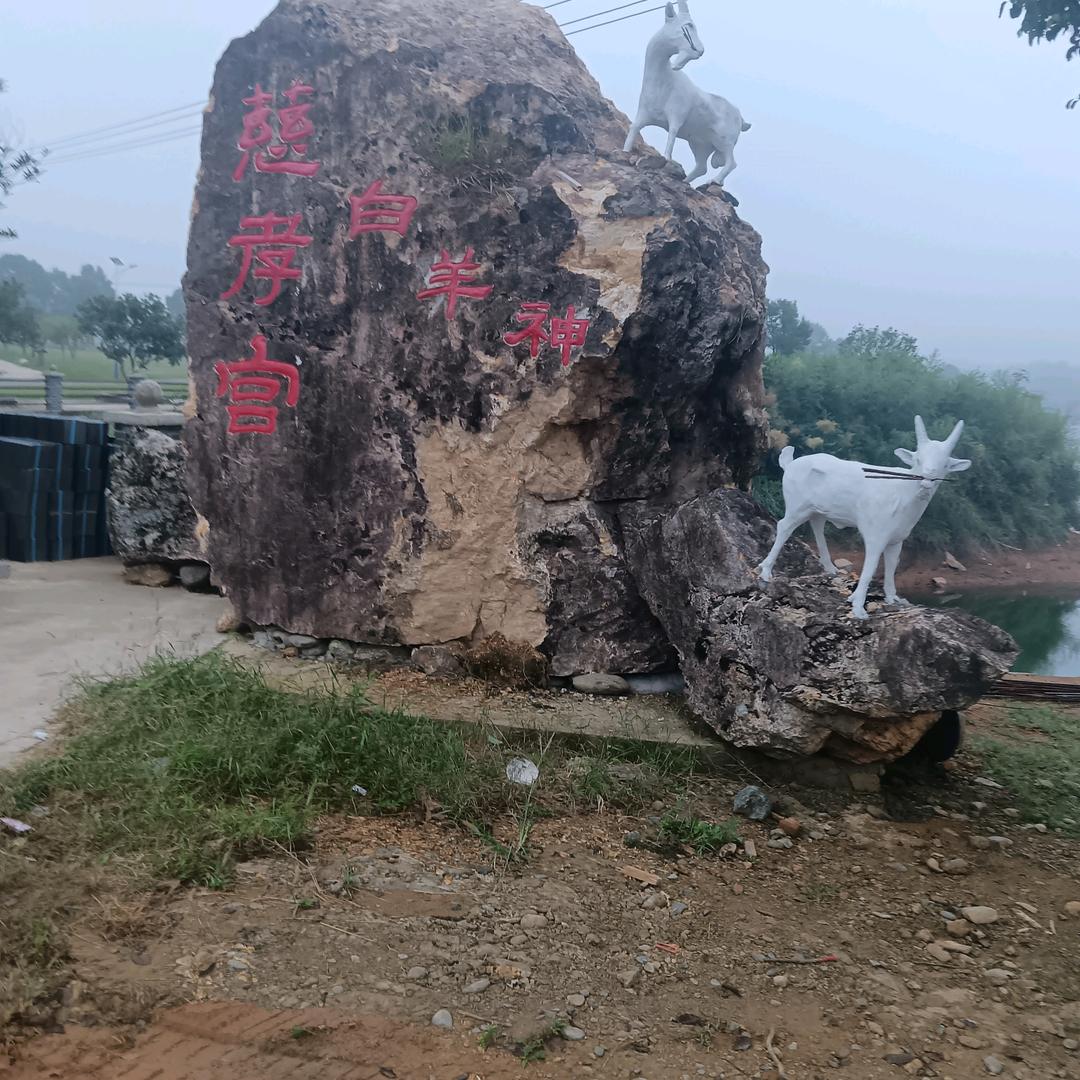 自由的杰西