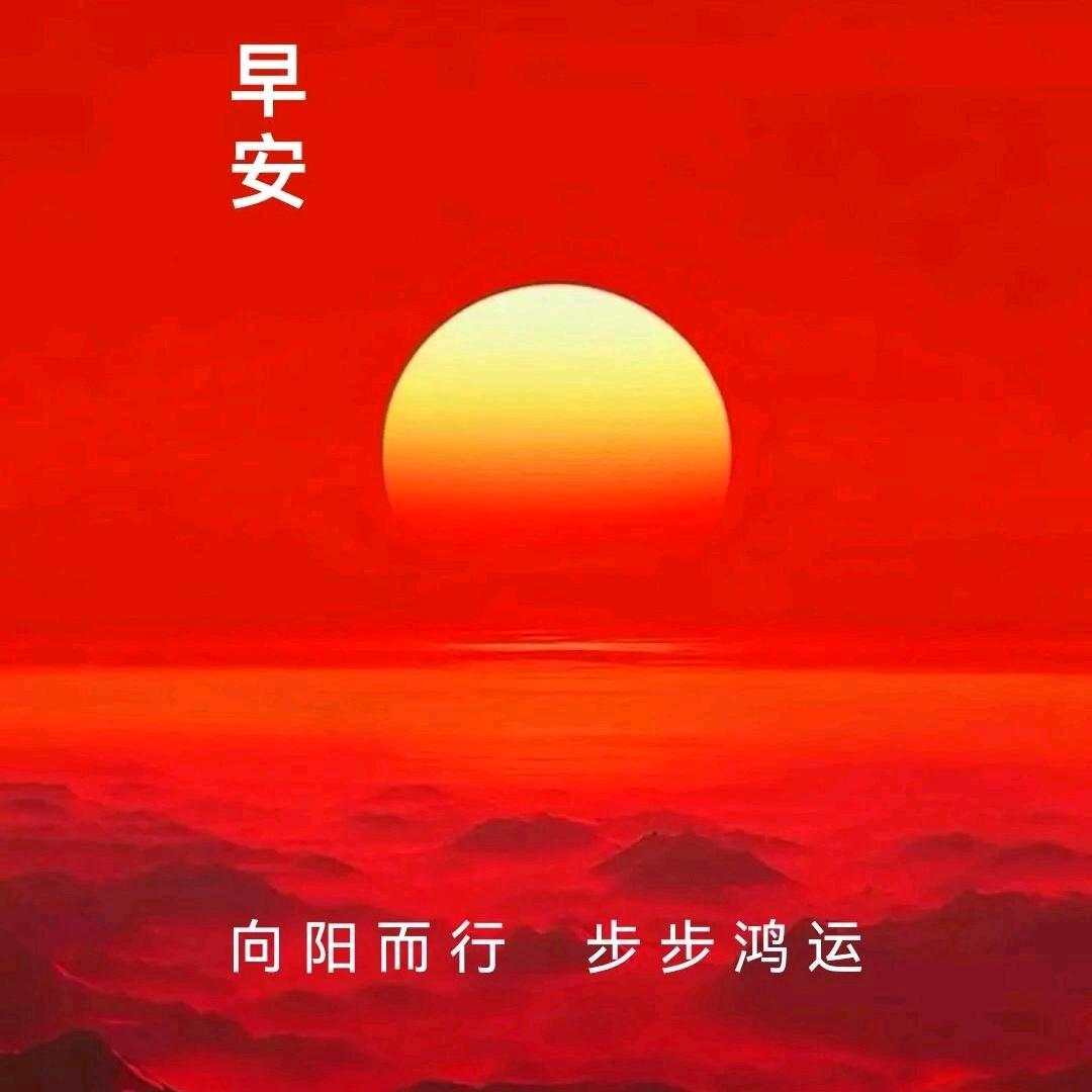 成武县大张楼言强农资