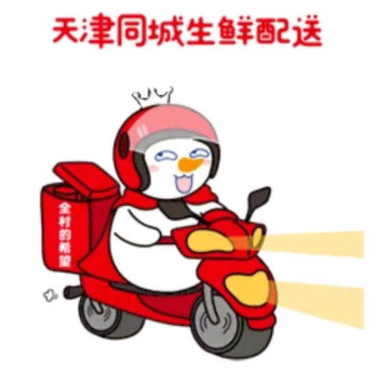 天津  同城  配送