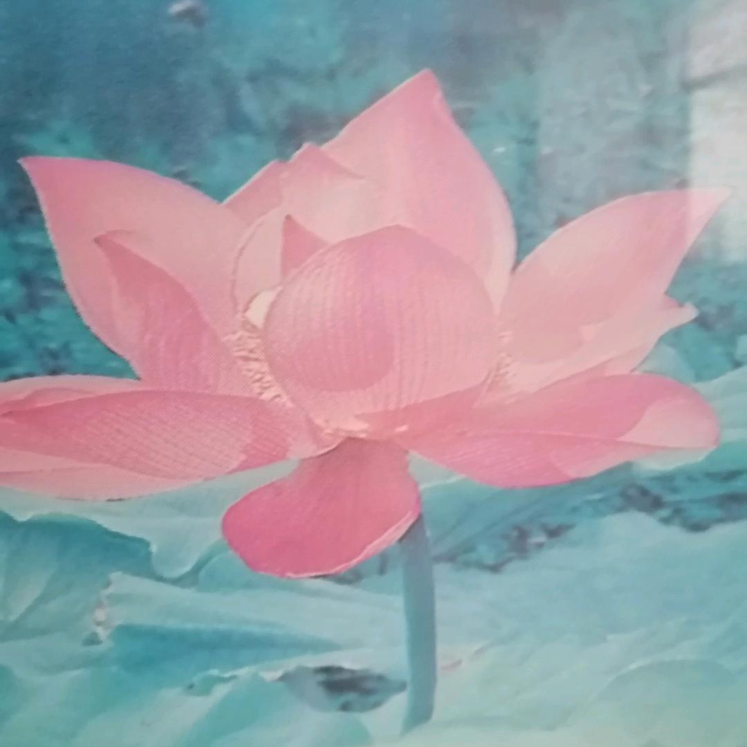 小娥
