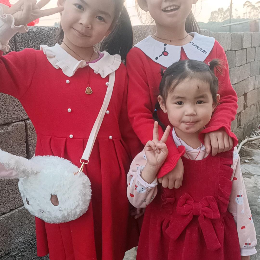 杨威放养鸡