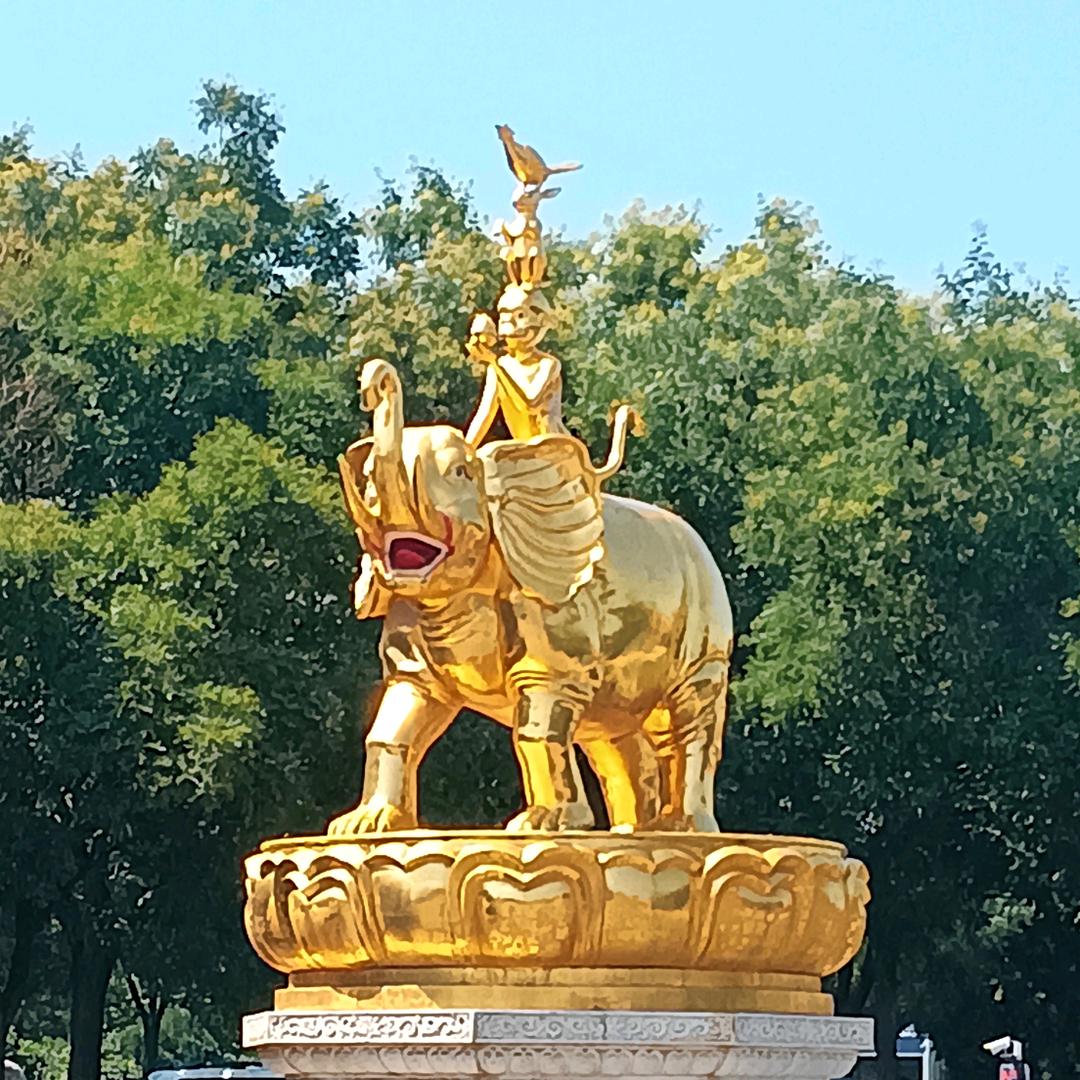 巴虎