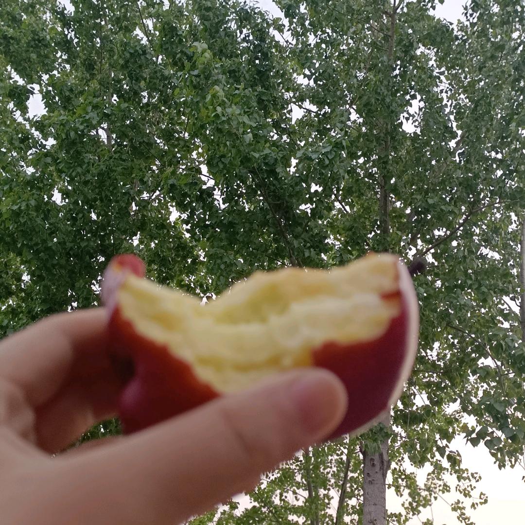 傻子虎牙