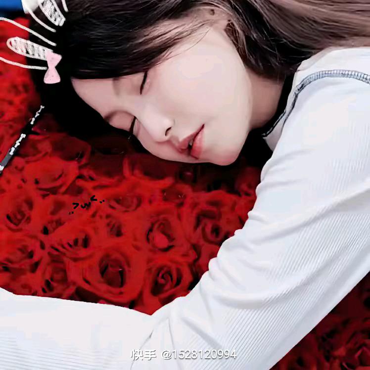 每天开心❤️Ꮚ･᷄ꈊ･᷅Ꮚ