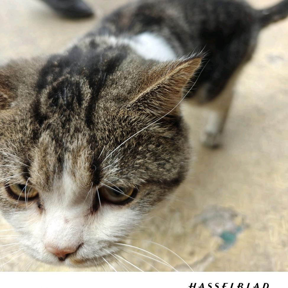 那缘分无处说感恩