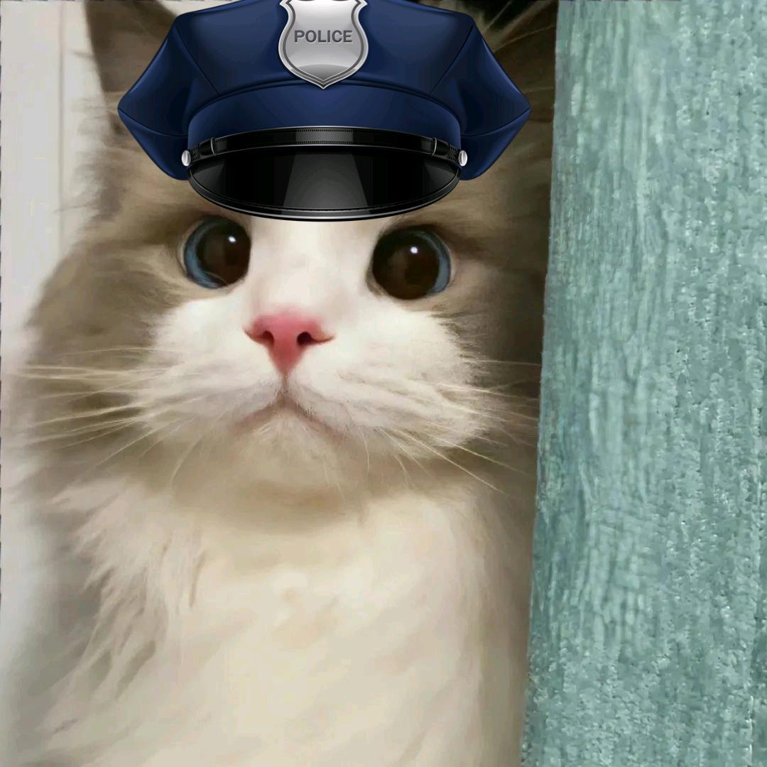 小肥K