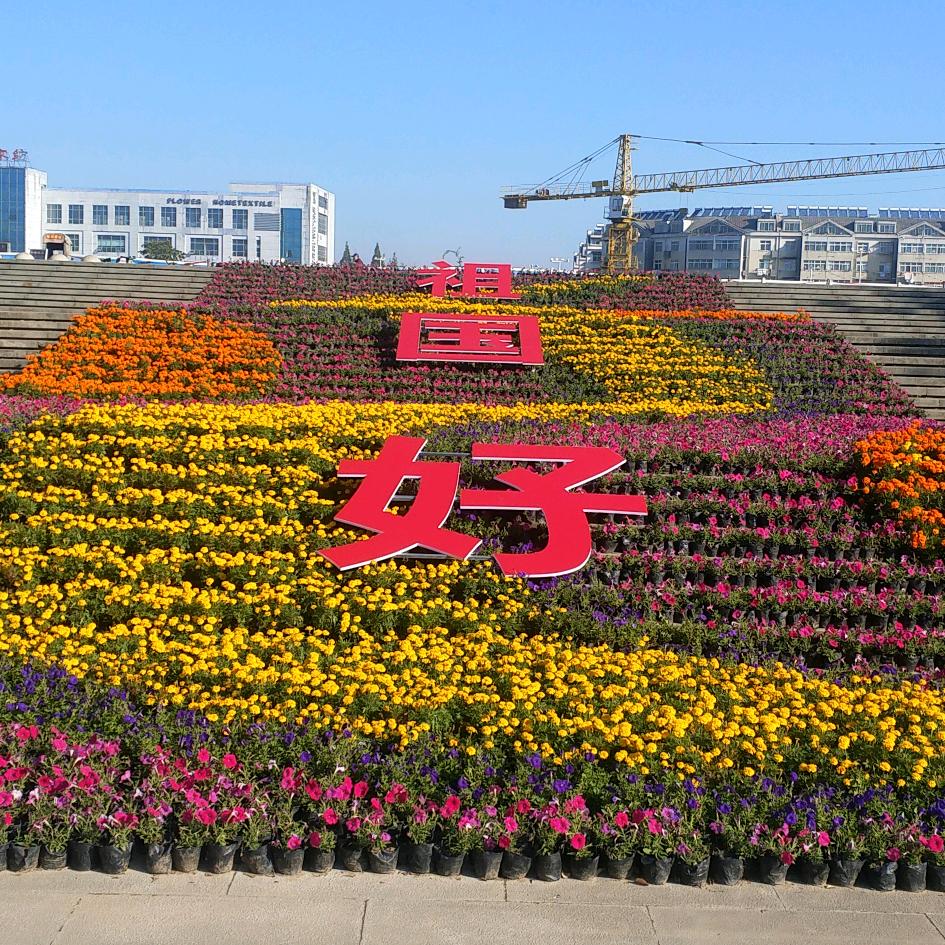 丁乐举