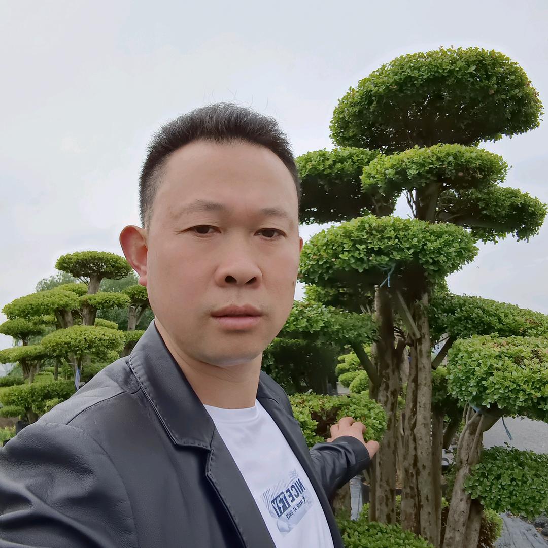 孤芳自赏