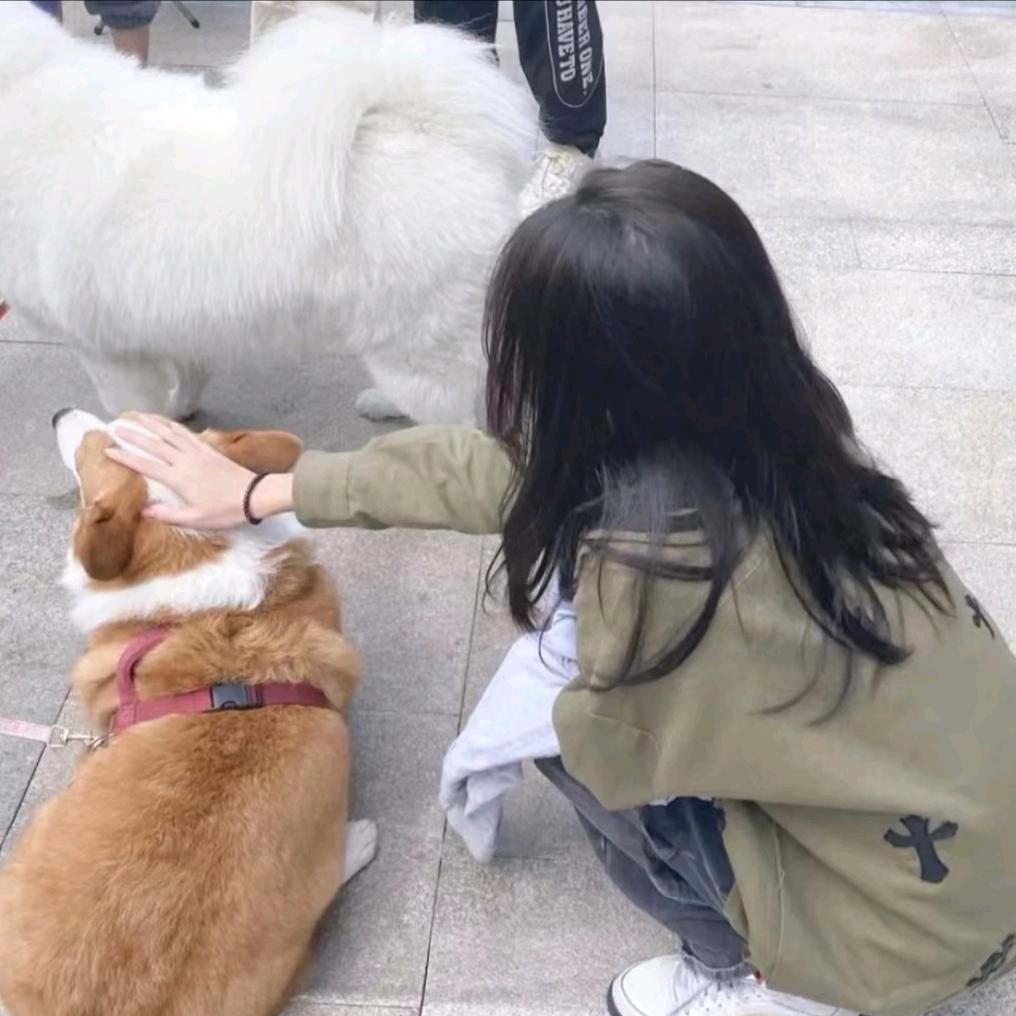 栀晗