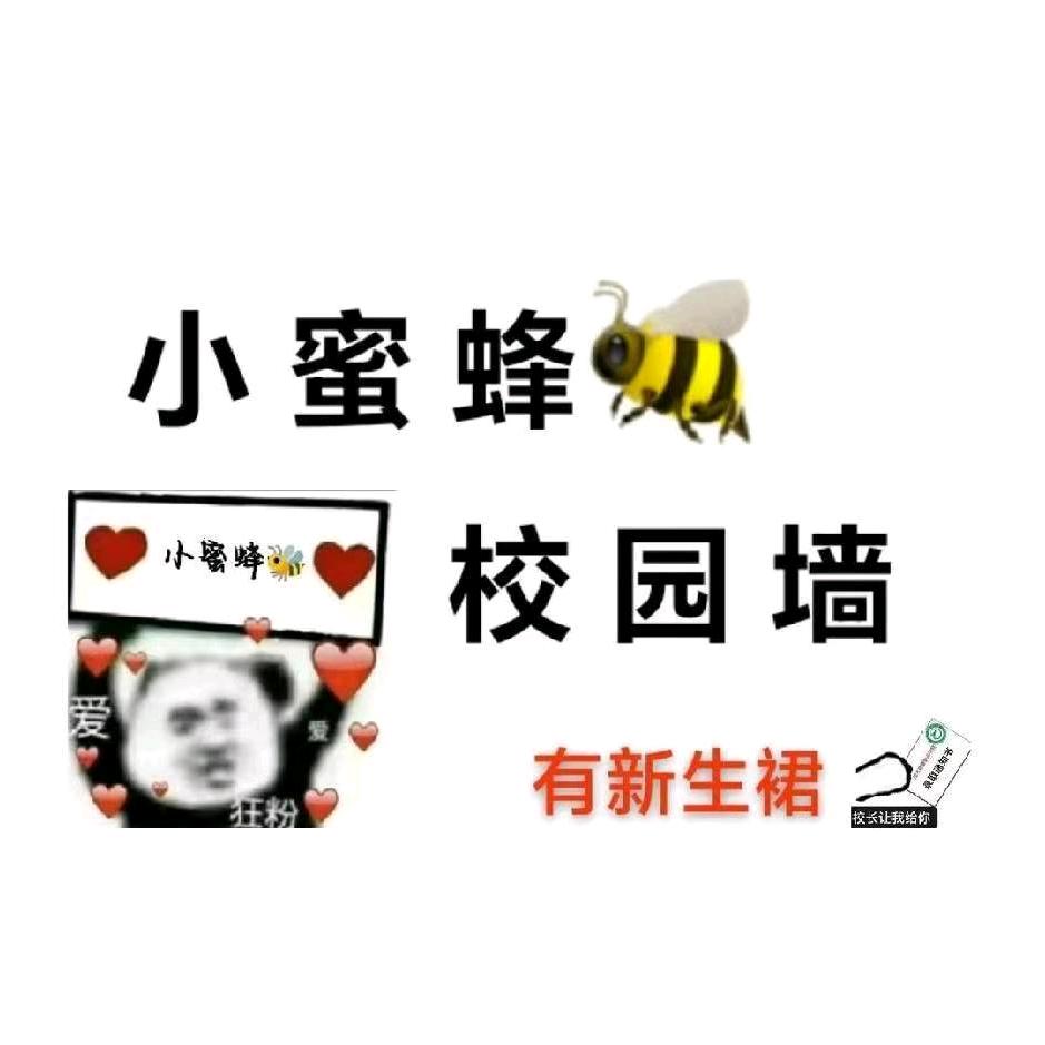 茂健小蜜蜂（校园墙）新生必加