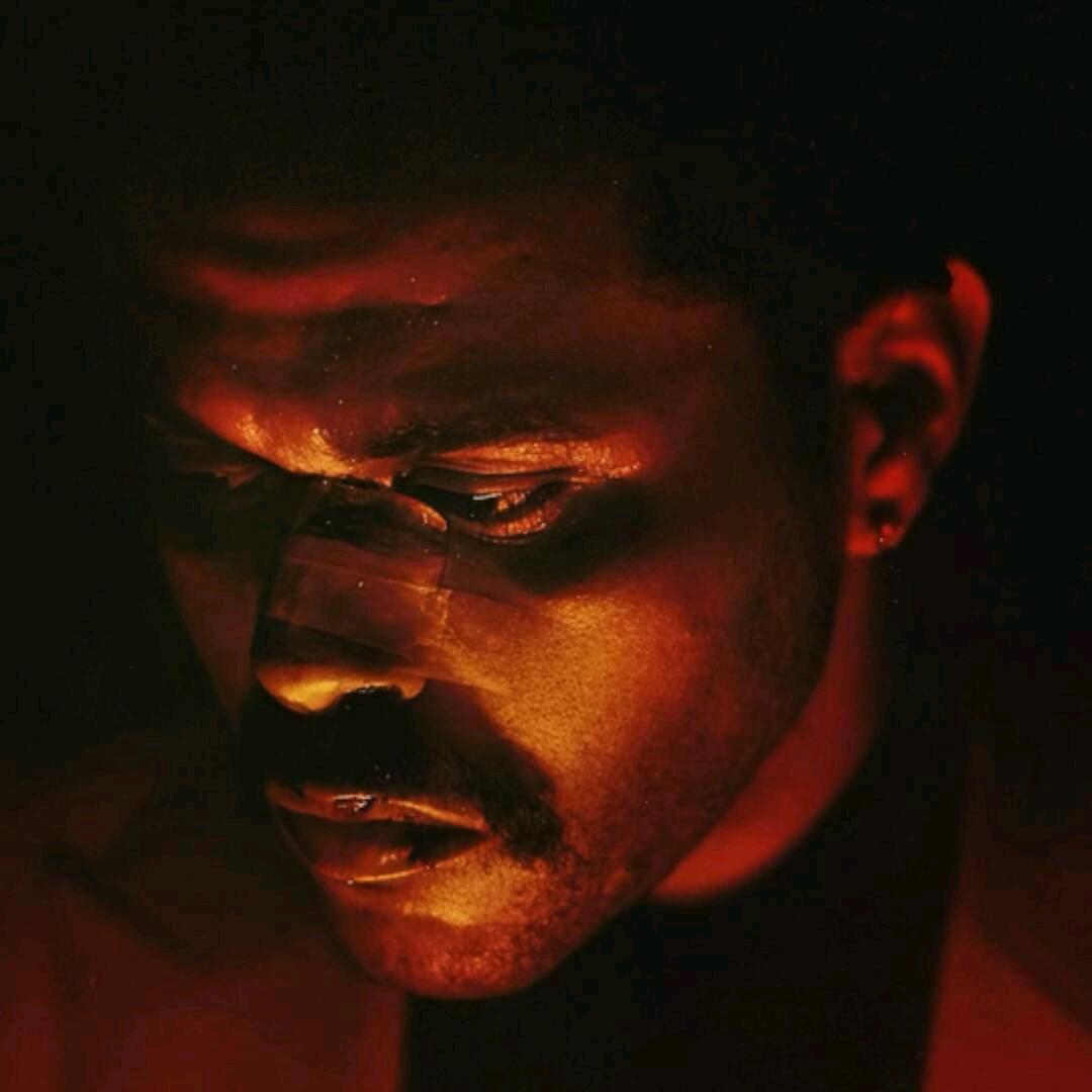Abel47