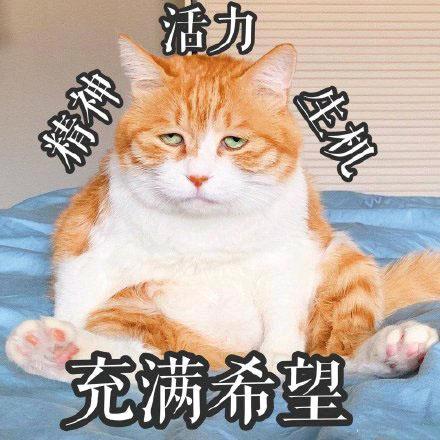 高记👌好货👌精选👌