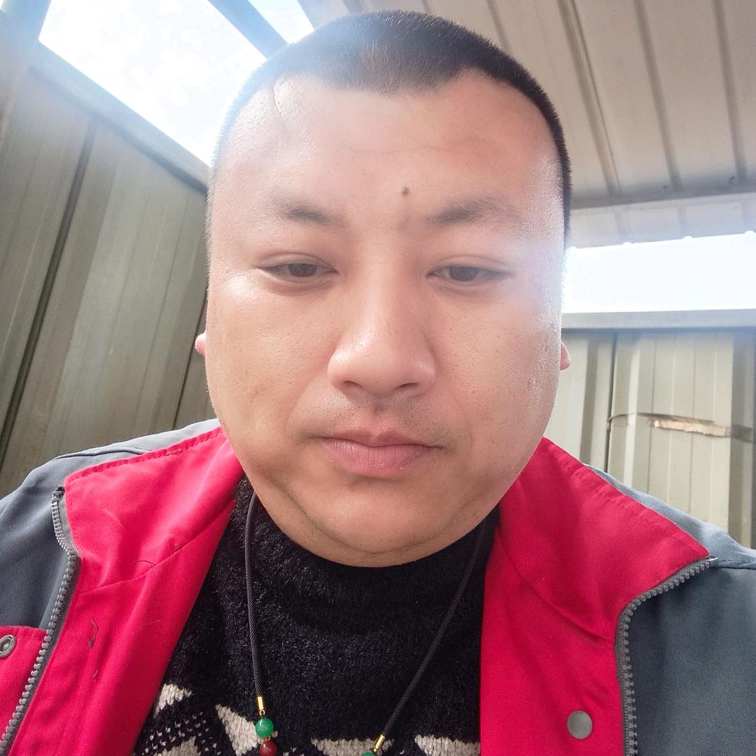辉子🎖️哥